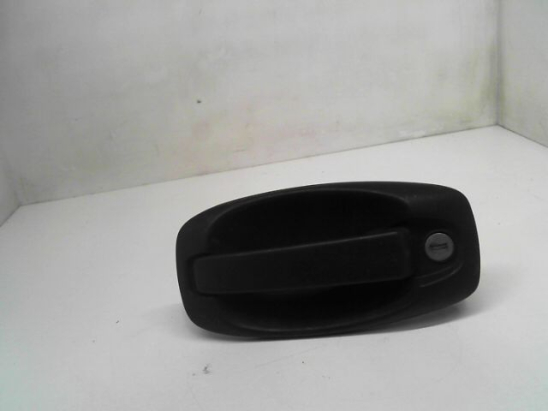 POIGNEE EXT PORTE ARG