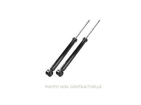 Amortisseurs Hydro LTM D24015