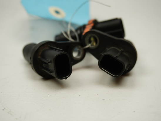 CAPTEUR ARBRE Ã€ CAMES