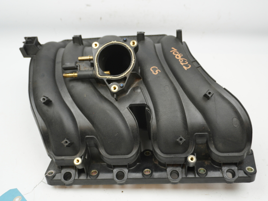 COLLECTEUR ADMISSION