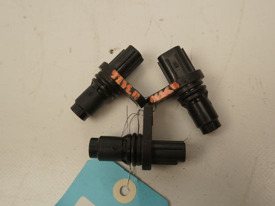 CAPTEUR ARBRE Ã€ CAMES