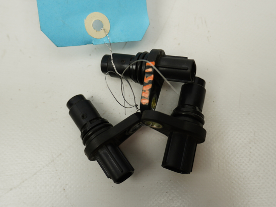 CAPTEUR ARBRE Ã€ CAMES