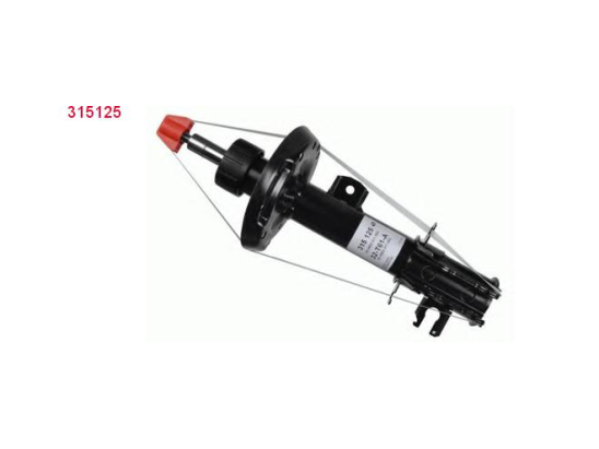 Amort. Av G Sachs 315125