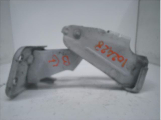 CHARNIERE INF PORTE BATTANTE ARG