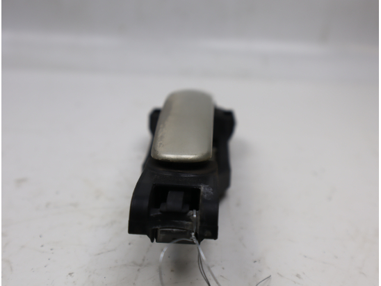 POIGNEE EXT PORTE ARG