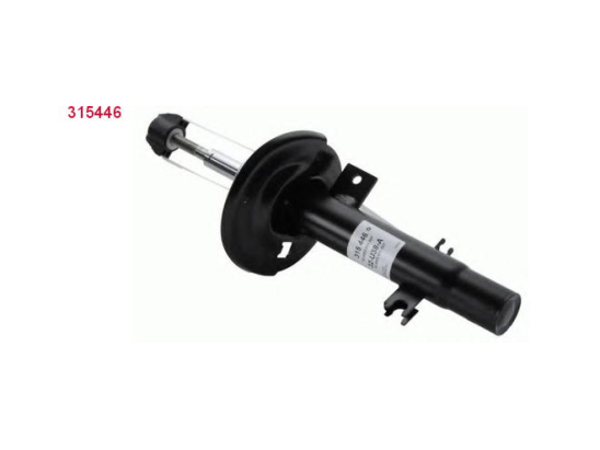 Amort. Av D Sachs 315446