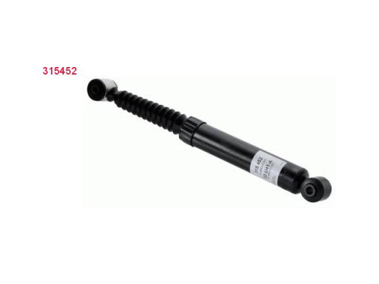 Amort. Ar Sachs 315452