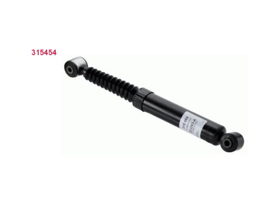 Amort. Ar Sachs 315454