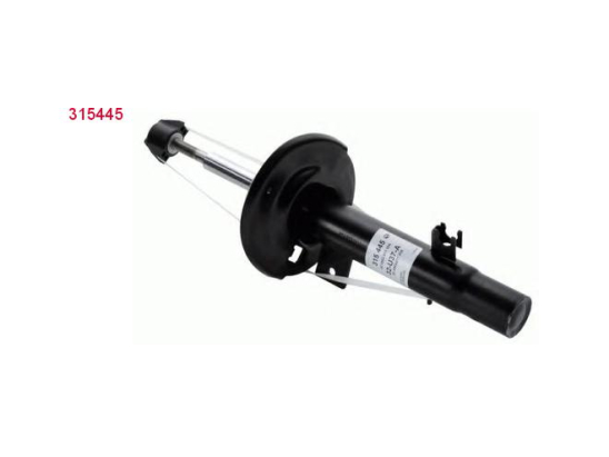 Amort. Av G Sachs 315445