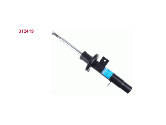 Amort. Av D Sachs 312419