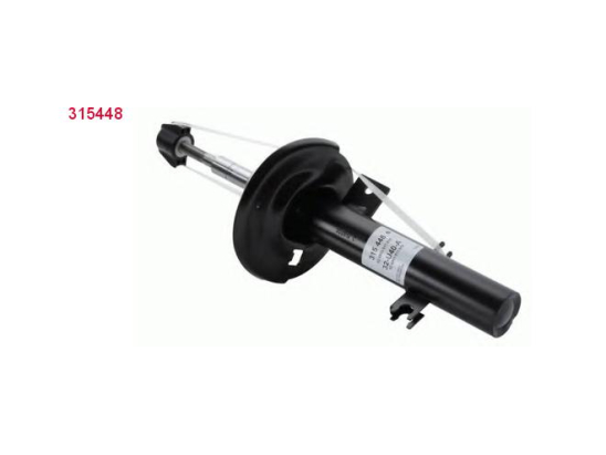 Amort. Av D Sachs 315448