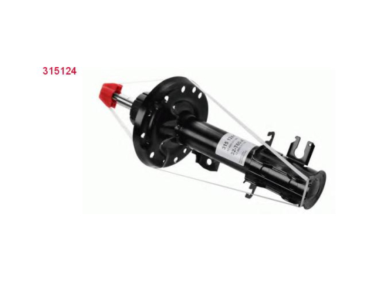 Amort. Av D Sachs 315124