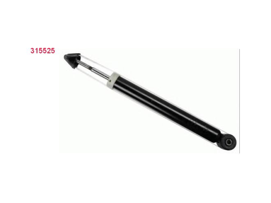 Amort. Ar Sachs 315525