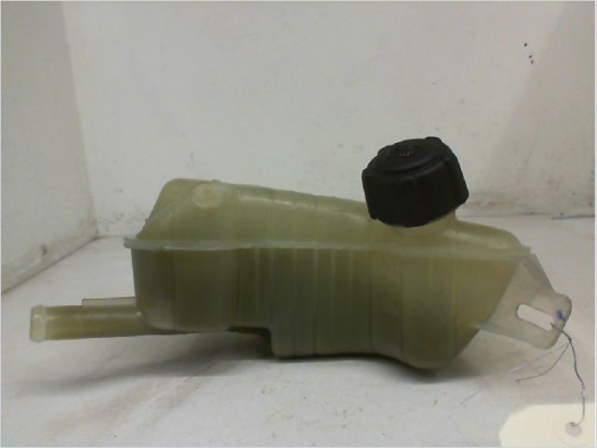 Vase expansion occasion RENAULT SCENIC II Phase 2 - 1.9 DCI 125ch